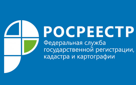 В каких случаях юридические лица могут подавать документы на бумаге